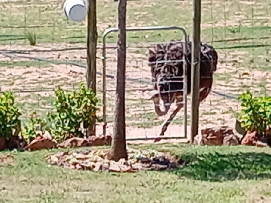 3 Bedroom Property for Sale in Joubertina Eastern Cape